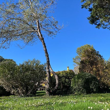 Villa De Miha Valbonne Exteriér fotografie