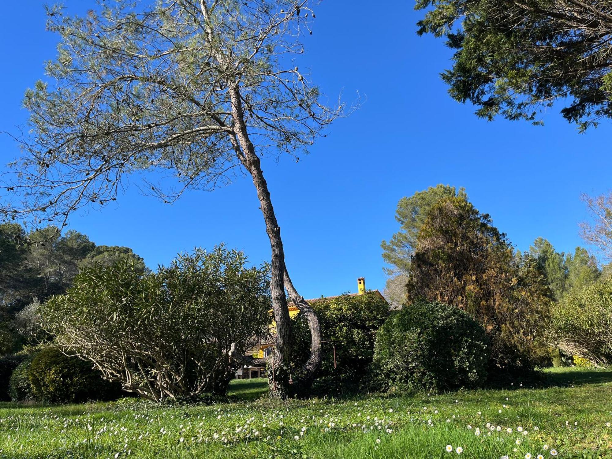 Villa De Miha Valbonne Exteriér fotografie